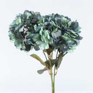 Hortensia Aqua