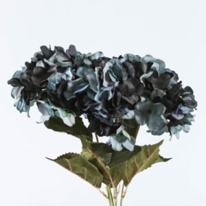 Hortensia Azul