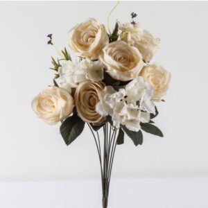 Rosal Hortensia Beige