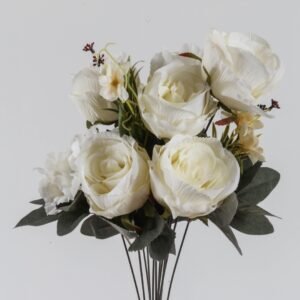 Rosal Hortensia Crema